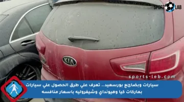 سيارات وبضائع بورسعيد.. تعرف على طرق الحصول على سيارات بماركات كيا وهيونداي وشيفروليه بأسعار منافسة